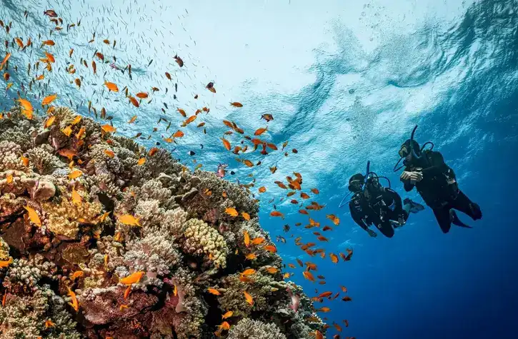 Weather in Egypt by Month diving_reduced