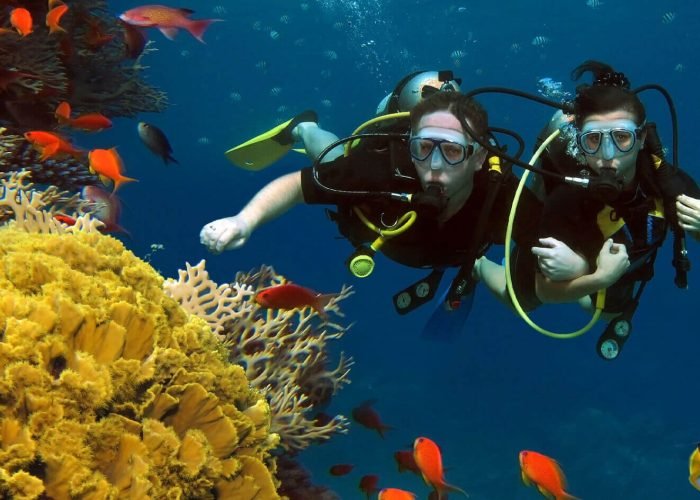 Diving-from-Sharm-El-Sheikh-Ras-Mohammed-Nature-Bark.jpg
