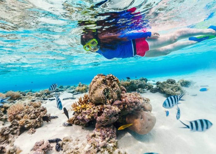 beautiful-picture-of-a-woman-on-a-diving-trip.jpg