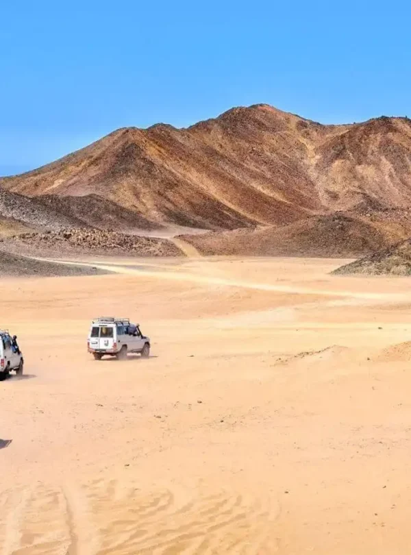 3-Day Bahariya Oasis & White Desert Adventure Tour