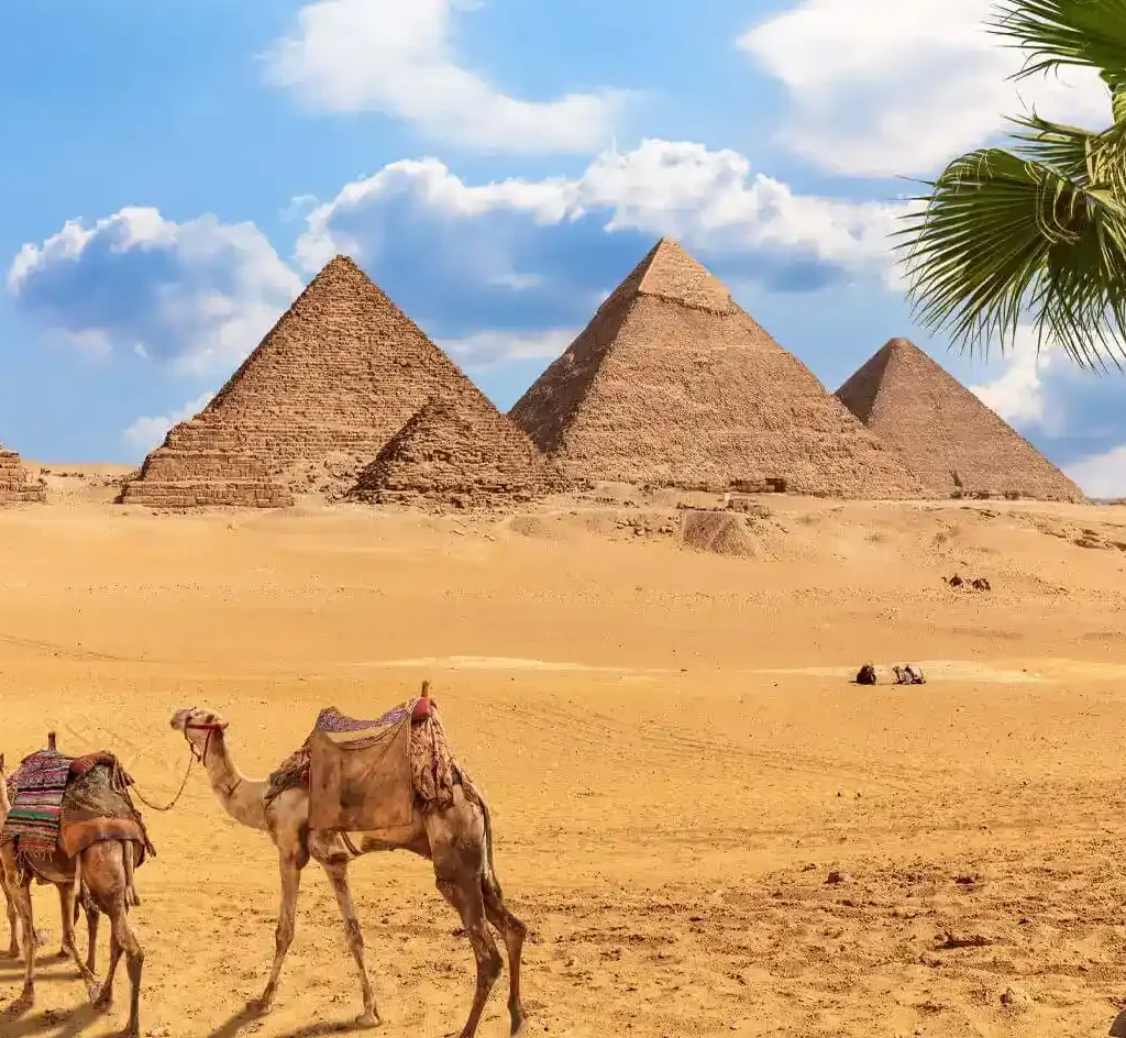 6 Days Cairo and Aswan with Abu Simbel Temple Pictures-of-some-of-the-beauty-in-front-of-the-ancient-pyramids-of-Giza