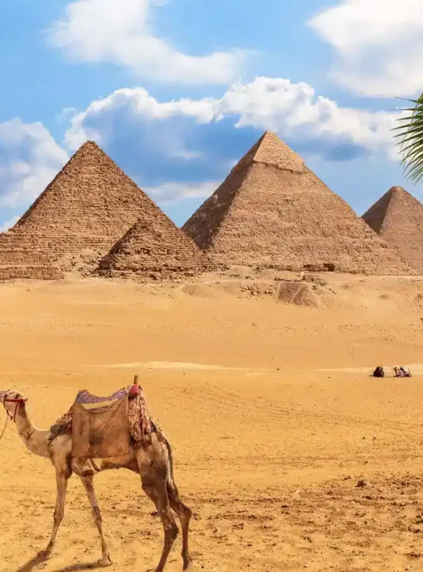 6 Days Cairo and Aswan with Abu Simbel Temple Pictures-of-some-of-the-beauty-in-front-of-the-ancient-pyramids-of-Giza