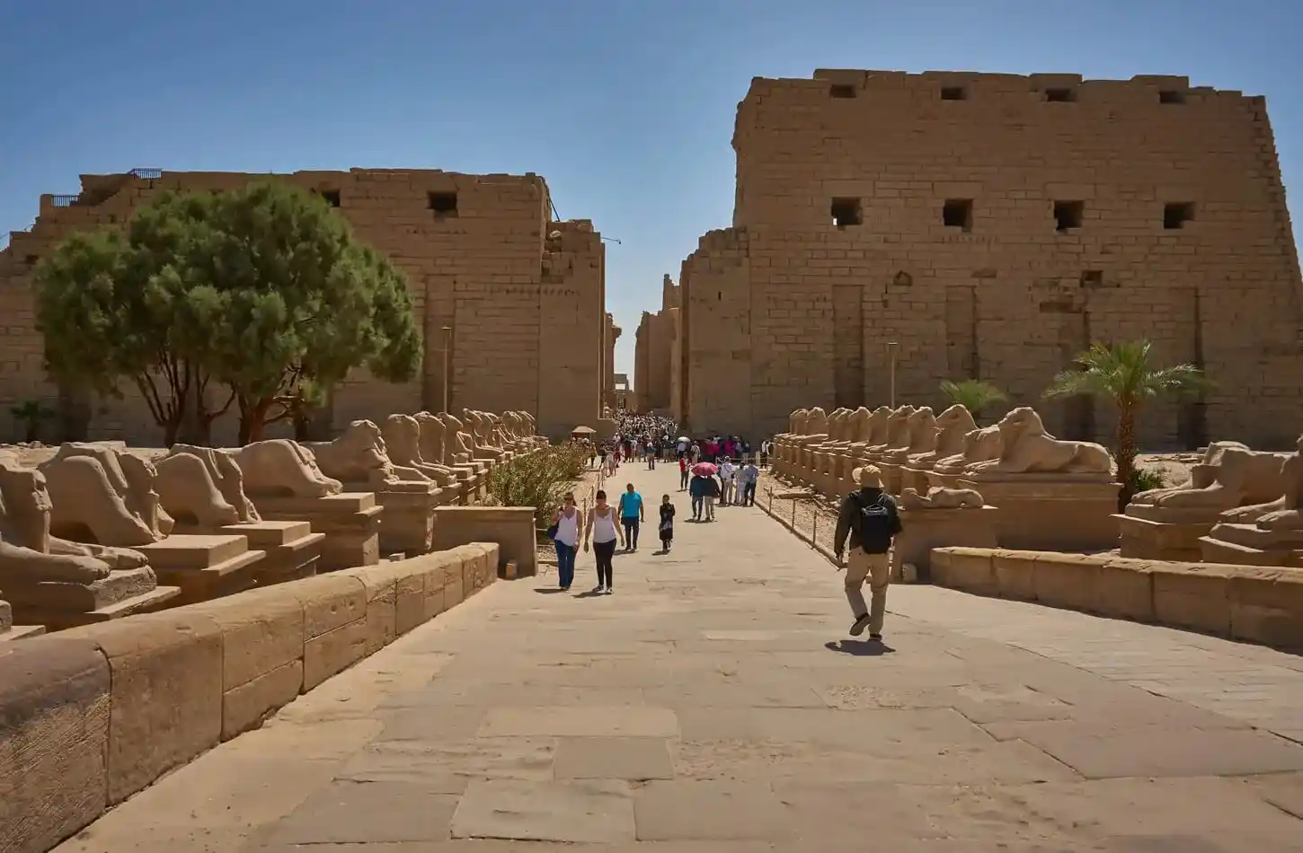 Top Rated Egypt Tours | Book Nile Cruises & Luxor Day Trips 2026 Your Ultimate Egypt Travel Guide 2