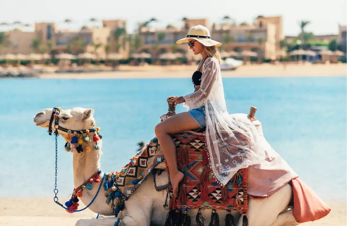Trips from Hurghada to Cairo: The Complete Guide to Hurghada Excursions to Cairo (2026) Trips from Hurghada to Cairo: The Complete Guide to Hurghada Excursions to Cairo (2026) - Pure Nile Tours