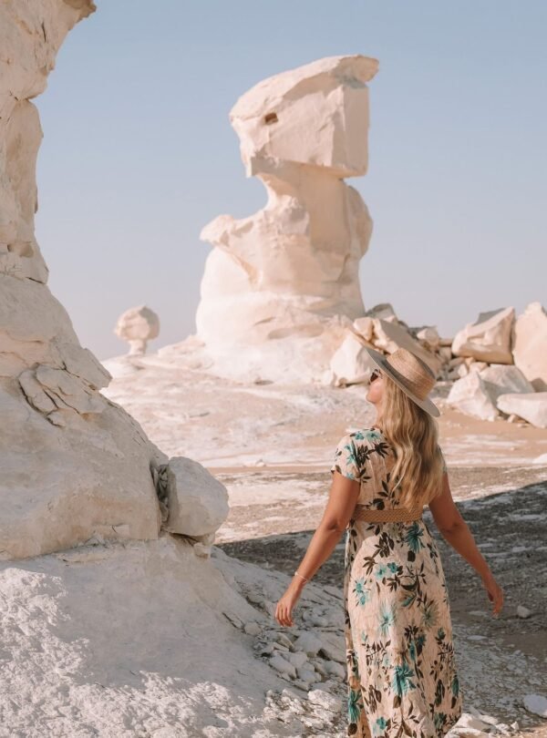 Black and White Desert